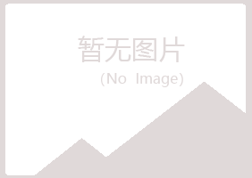 玛曲县埋没能源有限公司